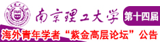 骚逼网站入口南京理工大学第十四届海外青年学者紫金论坛诚邀海内外英才！